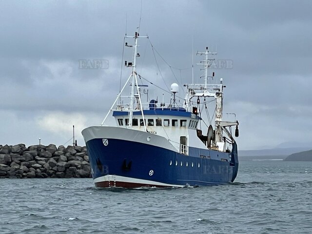 Large picture for advert 124443