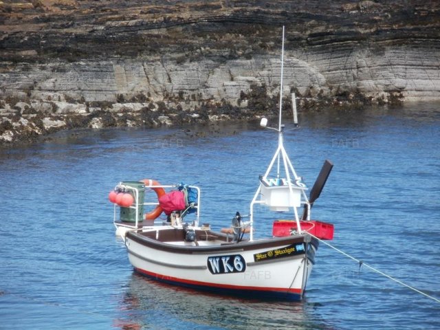 Large picture for advert 101543