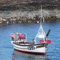 Extra picture for advert 101543