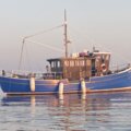 Extra picture for advert 127093