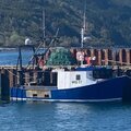 Extra picture for advert 125193
